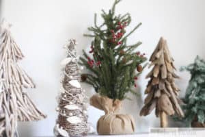 Country Christmas Decor