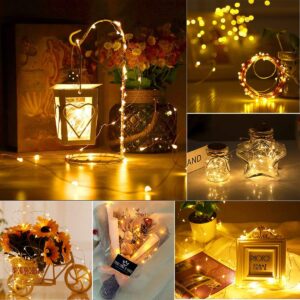 String fairy lights decor, warm ambient lighting, cozy home decoration, decorative lighting for events, stylish warm light accents.