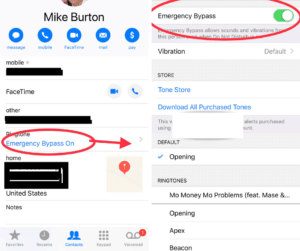iphone emergency bypass