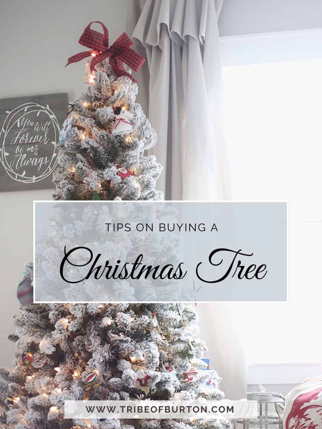 Tips on Buying A Christmas Tree