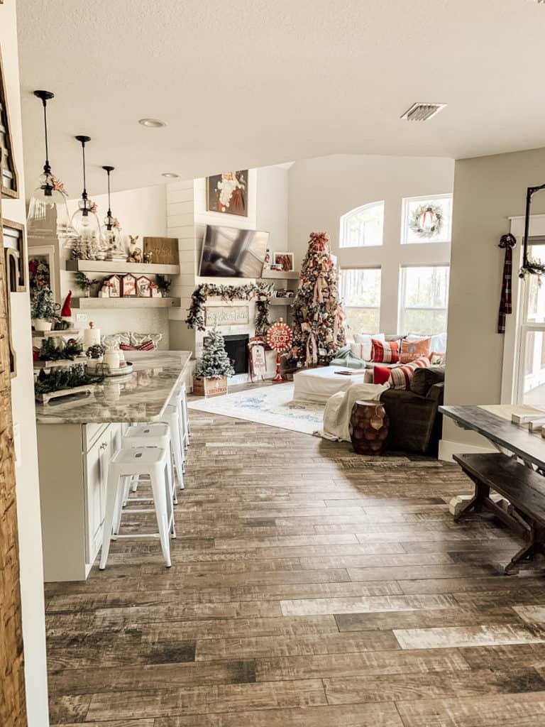 Christmas Decor in the Kitchen and family room.