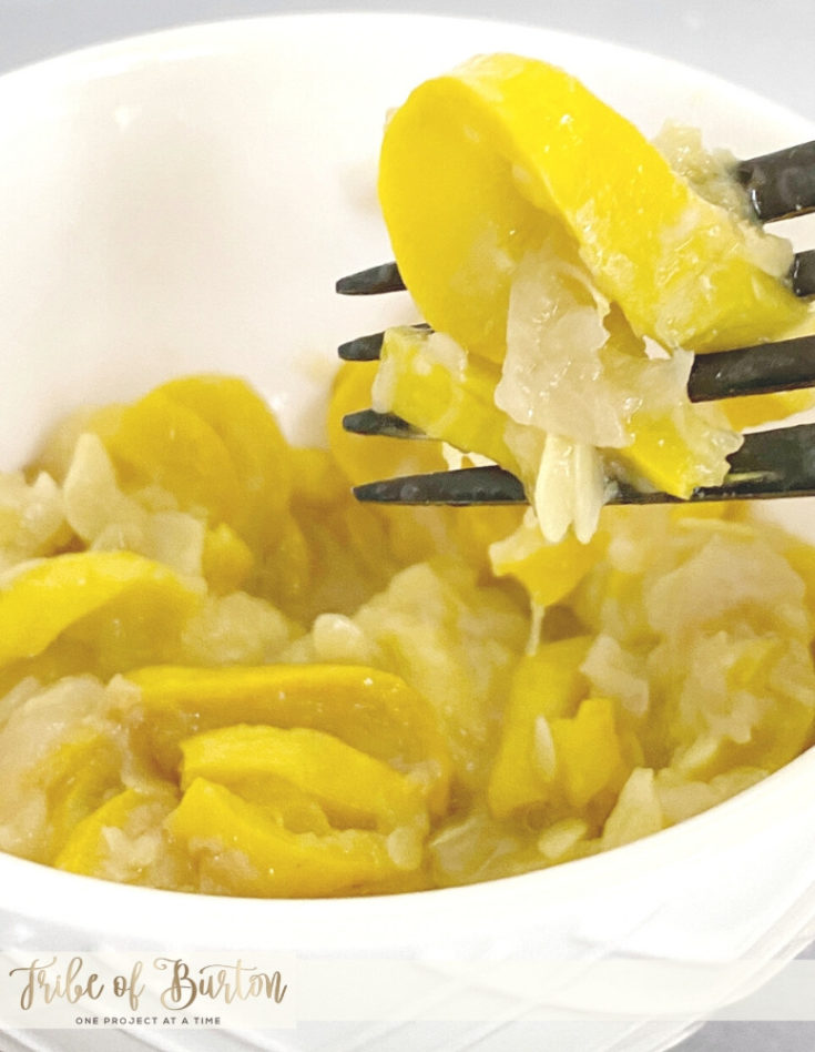 Stewed Squash in a bowl with a black fork.