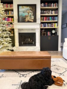 Cozy living room with fireplace, bookshelves, Christmas tree, and a puppy lying on the rug.