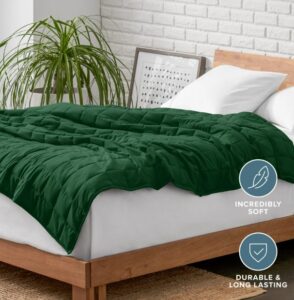 Soft green comforter on a cozy bed with white bedding and indoor plant for a relaxing bedroom setup.